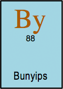 <b>Bunyip </b> <i> n. </i>Legendary creature that loiters around the local billabong putting the shits up the Aborigines.